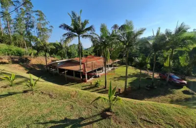 Fazenda à venda na rodovia osvaldo américo dos réis, s/n, zona rural, juruaia por r$ 980.000
