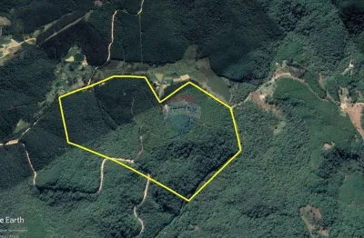 Chácara em tunas do paraná – investimento florestal de alto potencial