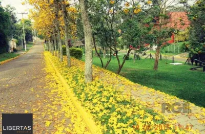 Terreno em condomínio fechado à venda na Rua Canela, 71, São Lucas, Viamão