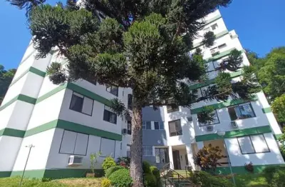 Apartamento 1 dormitórios à venda nonoai porto alegre/rs