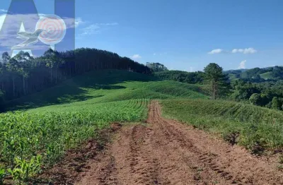 Terreno à venda na Estrada Secundaria Em Bateias De Baixo, Zona Rural, Campo Alegre