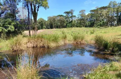 Chácara / sítio com 1 quarto à venda na Zona Rural, Campo Alegre 