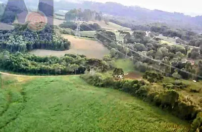 Terreno à venda no Bateias de Baixo, Campo Alegre 