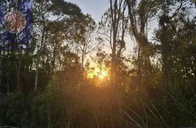 Terreno à venda na Estrada Principal Ribeirão Do Meio, Ribeirão do Meio, Campo Alegre