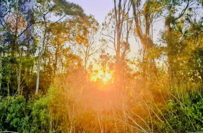 Terreno à venda na Estrada Principal Ribeirão Do Meio, Ribeirão do Meio, Campo Alegre