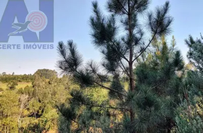 Terreno à venda na Estrada Secundaria Em Bateias De Baixo, Bateias de Baixo, Campo Alegre