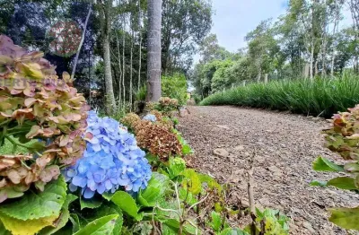 Chácara / sítio com 3 quartos à venda na Estrada Secundaria Em Bateias De Baixo, Bateias de Baixo, Campo Alegre