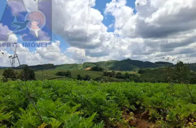 Chácara / sítio com 1 quarto à venda na Estrada Geral, Bateias de Baixo, Campo Alegre