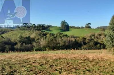 Chácara / sítio com 1 quarto à venda na Estrada Secundaria Em Bateias De Baixo, Bateias de Baixo, Campo Alegre
