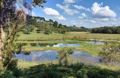 Chácara / sítio com 3 quartos à venda no Bateias de Baixo, Campo Alegre 