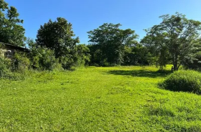 Terreno com 30,00 metros frente x 178,00 metros  fundos br 386 nova santa rita