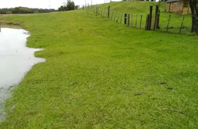 Chácara  com 9,4 hectares , 94.000,00 m² de área  em guaíba -rs