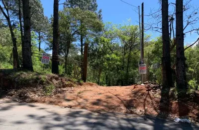 Chácara com 4,6 hectares localizado na rua antônio borges belém velho poa rs.