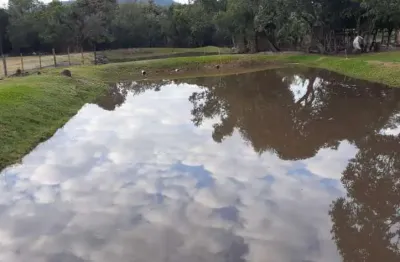 Sitio com 4 hectares no bairro lami em porto alegre - rs