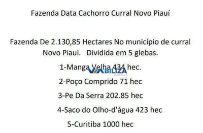 Fazenda no piaui 2.130 hec para extração de ferro e energia eólica