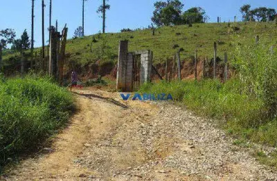 Terreno à venda, 50000 m² por r$ 17.000.000,00 - rio abaixo - itaquaquecetuba/sp