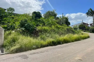 Terreno à venda no Bom Viver, Biguaçu 