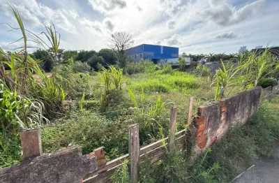 Terreno à venda em Rio Caveiras, Biguaçu 