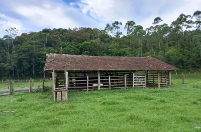 Chácara / sítio à venda no três riachos, biguaçu  por r$ 1.500.000