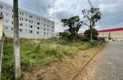 Terreno à venda no Bom Viver, Biguaçu 