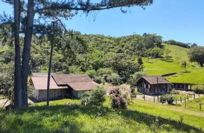 Chácara / sítio à venda no três riachos, biguaçu  por r$ 2.500.000