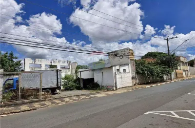 Galpão de 1000 m² que será construído de acordo com as necessidades do inquilino  em mogi mirim