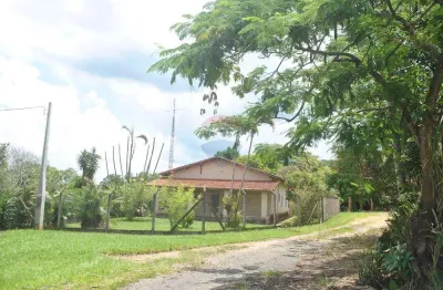 Sítio para plantio ou pastagem com moradia  para alugar/arrendar em jaguariúna