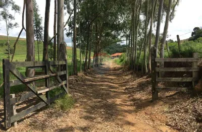 Fazenda à venda na Estrada Agudo - Sertãozinho, Agudos, Socorro
