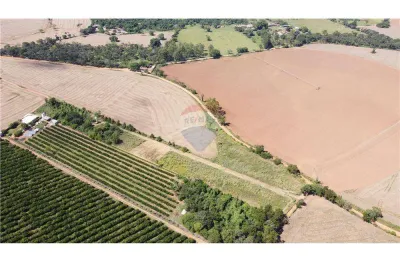 Chácara / sítio à venda na Sítio Das Palmeiras, 000, Jardim Bela Vista, Mogi Guaçu