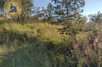 Área à venda, 4755 m² por r$ 350.000,00 - estância bella vista - jarinu/sp