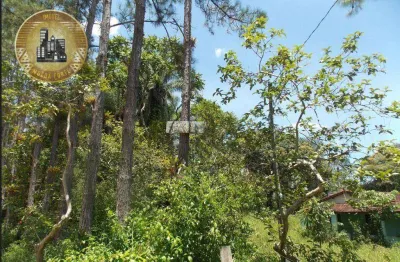 Sítio à venda, 173000 m² por r$ 743.900,00 - zona rural. - juquiá/sp