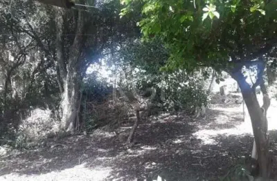 Terreno à venda na Avenida Senador Salgado Filho, Cecília, Viamão