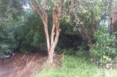 Terreno à venda na Rua Francisco Alves, Nossa Senhora das Graças, Canoas
