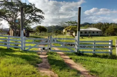 Chácara / sítio com 5 quartos à venda na Avenida Adão Foques, Passo Fundo, Guaíba