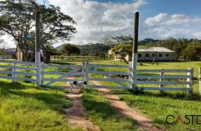 Chácara / sítio com 5 quartos à venda na avenida adão foques, 8000, passo fundo, guaíba por r$ 2.100.000