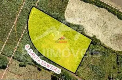 Terreno industrial com 6051m2 no pq. industrial atras churrascaria pavan   maringa pr