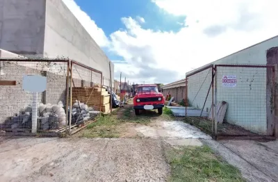 Terreno em parque santa felícia jardim - são carlos