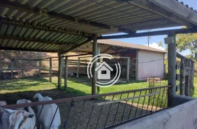Chácara com 1 dormitório à venda, 6050 m² por r$ 500.000,00 - vertentes das águas - são pedro/sp