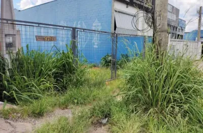 Terreno para aluguel com 300 m², em jardim das bandeiras, campinas