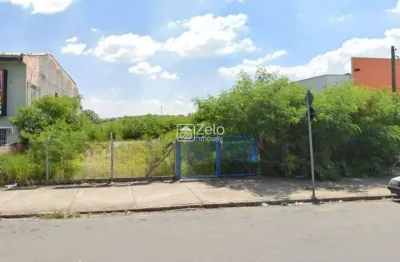 Terreno comercial para alugar na Avenida Ruy Rodriguez, Jardim Novo Campos Elíseos, Campinas