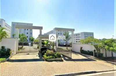 Apartamento para aluguel com 48 m², 2 quartos 1 vaga em núcleo residencial padre josimo, campinas