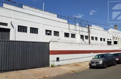 Galpão para aluguel com 750 m², 4 vagas em chácaras campos dos amarais, campinas