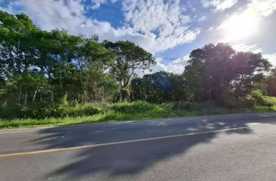 Excelente terreno com 375,00 m², frente avenida asfaltada!
