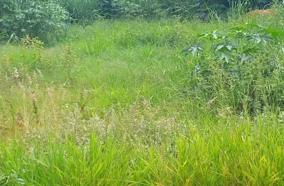 Terreno à venda, 750 m² - estância balneária águas virtuosas - bauru/sp