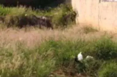 Terreno à venda no Jardim Marise, Bauru 