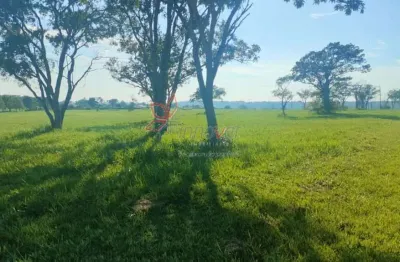 Terreno à venda na Zona Rural, Arealva 