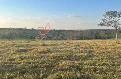 Área rural  próximo ao recanto shinohara a venda com 20.038,77m²