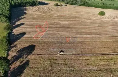 Chácara / sítio à venda no Centro, Echaporã 