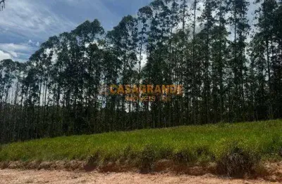 Terreno à venda na vila amélia em bairro planejado- zona sul - 205m²