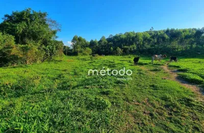Sítio à venda, 20000 m² por r$ 395.000,00 - itapeti - guararema/sp